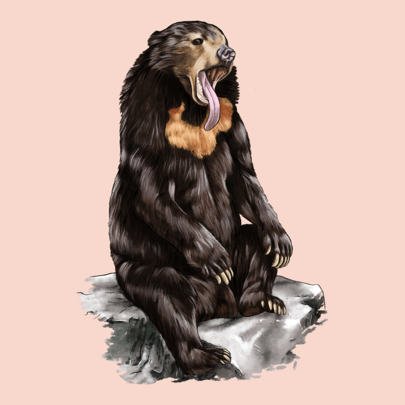 Malayan Sun Bear Urban Hoodie by LillyAllenDesigns | Teevron