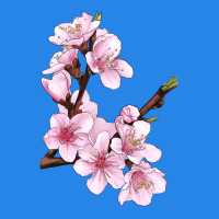 Peach Blossom Premium Hoodie | Teevron