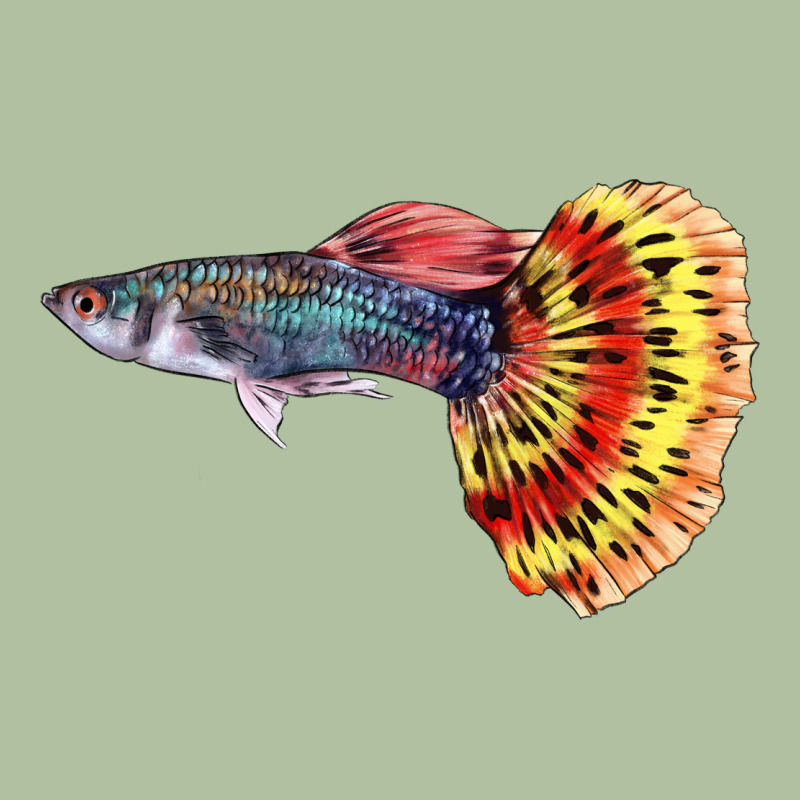 Guppy Fish Urban Hoodie by LillyAllenDesigns | Teevron