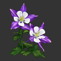 rocky mountain columbine | Teevron