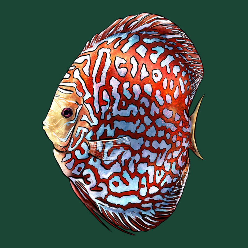 Discus Fish Urban Hoodie by LillyAllenDesigns | Teevron
