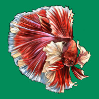 Betta Fish Urban Hoodie | Teevron
