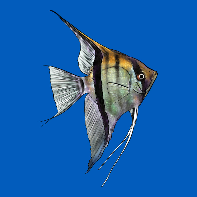 Angelfish Urban Hoodie by LillyAllenDesigns | Teevron