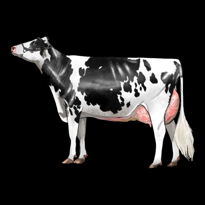 Holstein Dairy Cow Urban Hoodie by LillyAllenDesigns | Teevron