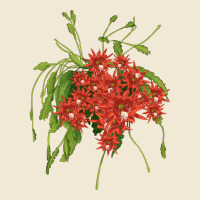 Red Orchid Cactus Premium Tee | Teevron