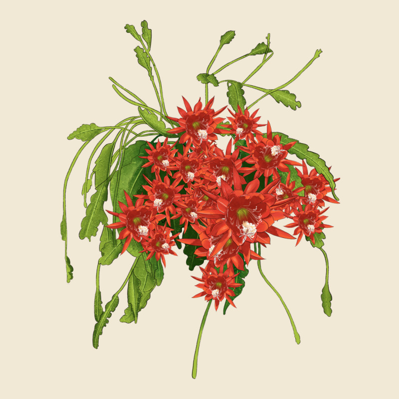 Red Orchid Cactus Premium Tee by LillyAllenDesigns | Teevron