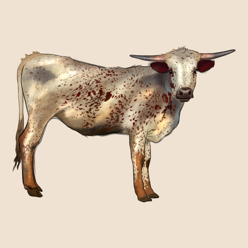Texas Longhorn Heifer Urban Hoodie by LillyAllenDesigns | Teevron