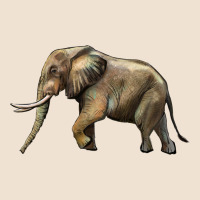 Elephant Urban Hoodie | Teevron