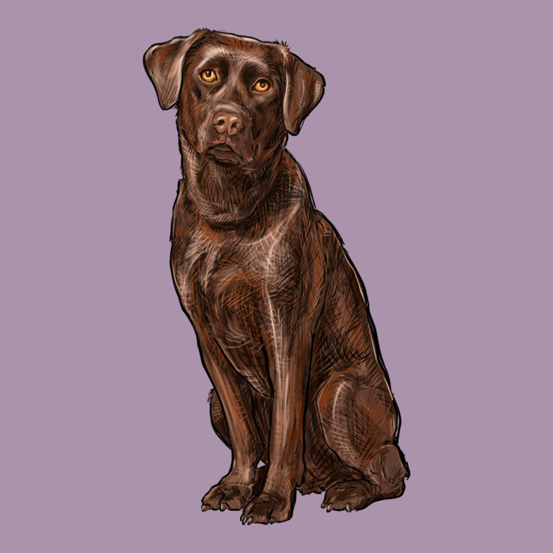 Labrador Retriever Heavyweight Hoodie by RanaPortraitStore | Teevron