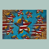 4th Of July Stars Skinny Metal Can Holder Premium Sweatshirt | Teevron