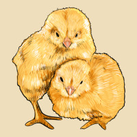 Chicks Premium Hoodie | Teevron