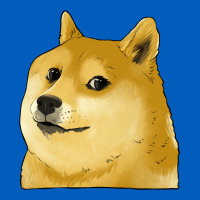 Doge Coin Shiba Dog Urban Hoodie | Teevron