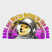 Doge Coin Hodl On We're Going To The Moon Retro Sunset Urban Hoodie | Teevron