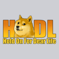 Hodl Hold On For Dear Life Dogecoin Urban Hoodie | Teevron