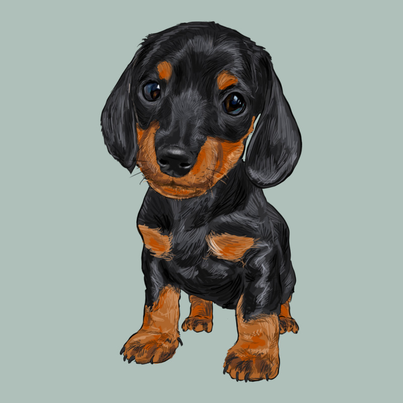 Dachshund Puppy Heavyweight Hoodie by RanaPortraitStore | Teevron