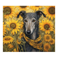 greyhound | Teevron