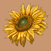Sunflower Heavyweight Hoodie | Teevron