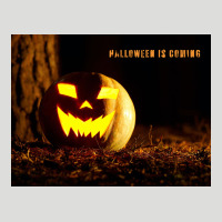 Halloween Is Coming Zipper Hoodie | Teevron