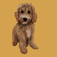Maltipoo Urban Hoodie | Teevron