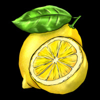 Lemon Urban Hoodie | Teevron