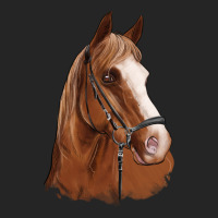 Horse Portrait Premium Hoodie | Teevron