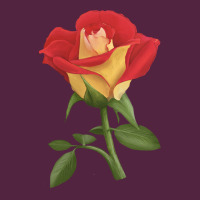 Ketchup And Mustard Rose Urban Hoodie | Teevron