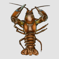 Crawfish Premium Sweatshirt | Teevron