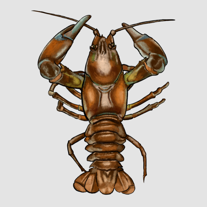 Crawfish Premium Sweatshirt by FaDigitalArtStudio | Teevron