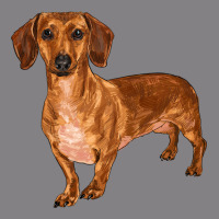 Dachshund Heavyweight Hoodie | Teevron