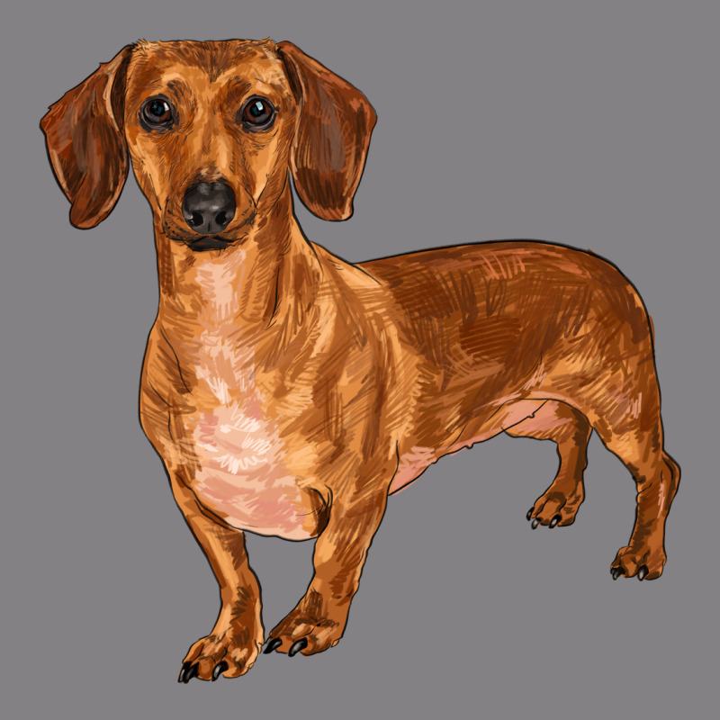 Dachshund Heavyweight Hoodie by RanaPortraitStore | Teevron