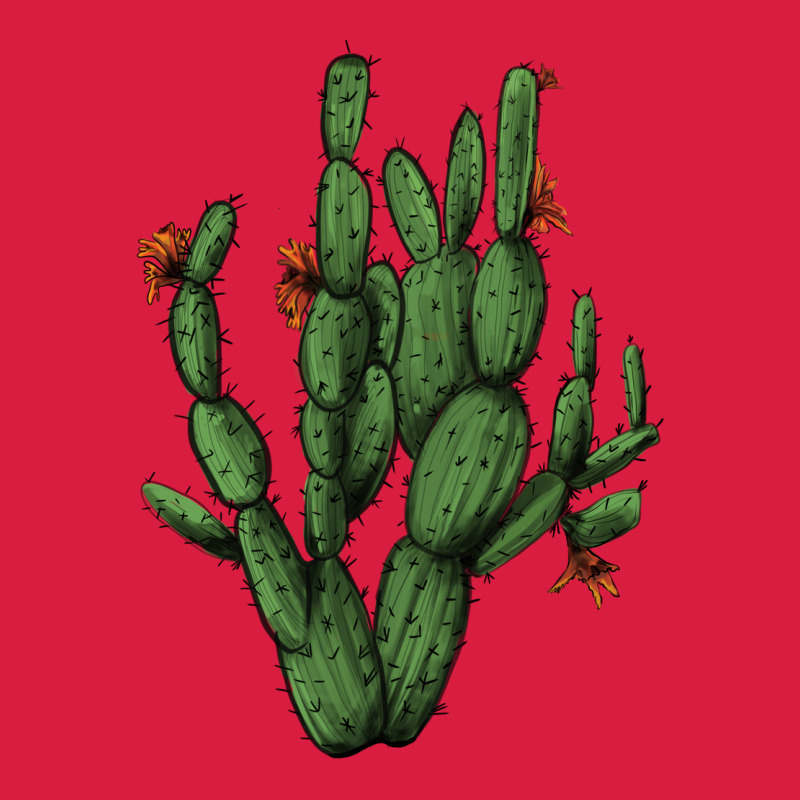 Cactus With Flowers Premium Hoodie by AdoDesignShop | Teevron