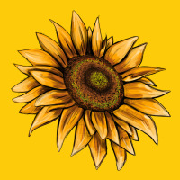 Sunflower Premium Hoodie | Teevron