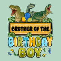 Brother Of The Birthday Boy Classic Tee | Teevron