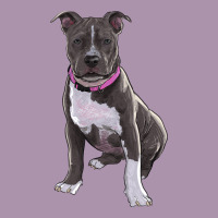 Pitbull Heavyweight Hoodie | Teevron
