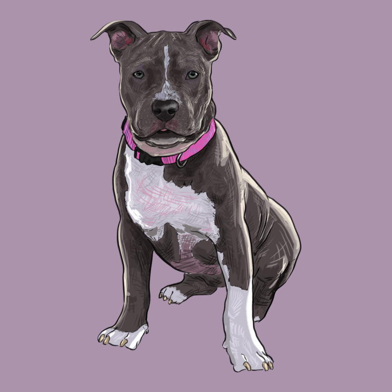 Pitbull Heavyweight Hoodie by RanaPortraitStore | Teevron