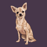 Chihuahua Heavyweight Hoodie | Teevron