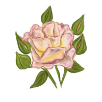 Life Of The Party Rose | Teevron
