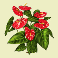 Anthurium Urban Hoodie | Teevron