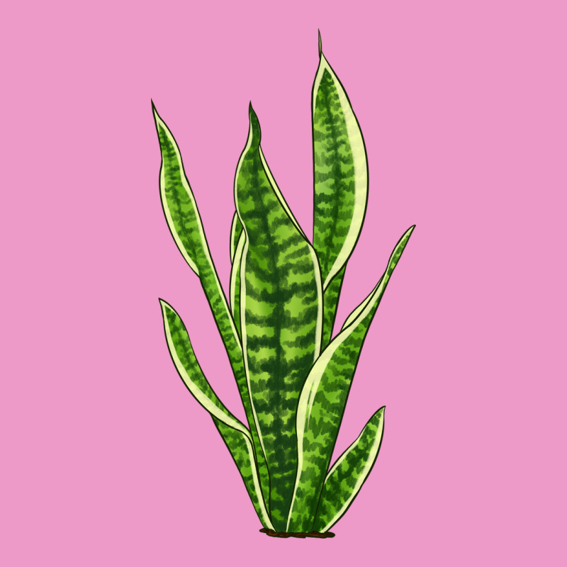 Snake Plant Urban Hoodie by LillyAllenDesigns | Teevron