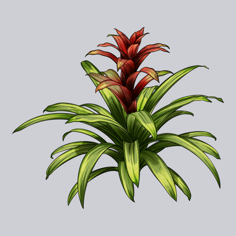 Bromeliads Urban Hoodie by LillyAllenDesigns | Teevron