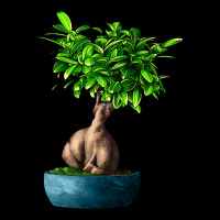 Ficus Ginsenge Urban Hoodie | Teevron
