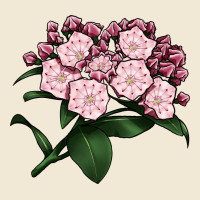 Mountain Laurel Flower Illustrations Premium Tee | Teevron