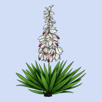 Yucca Flower Iiiustrations Urban Hoodie | Teevron