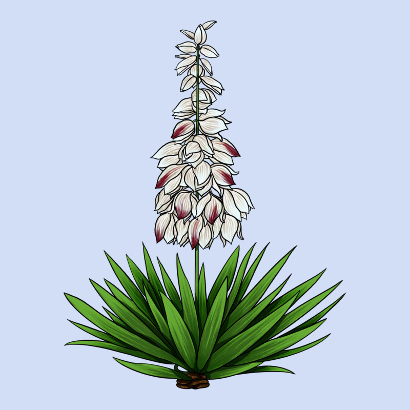 Yucca Flower Iiiustrations Urban Hoodie by LillyAllenDesigns | Teevron