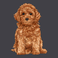 Toy Poodle Heavyweight Hoodie | Teevron