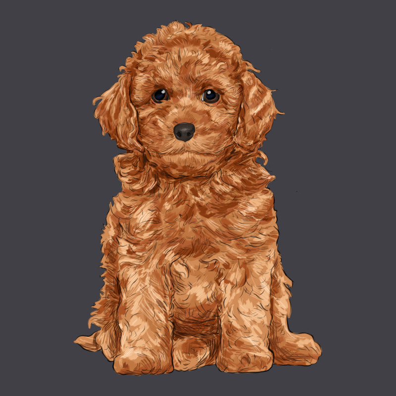 Toy Poodle Heavyweight Hoodie by RanaPortraitStore | Teevron
