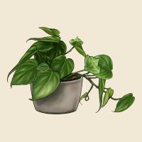 Philodendron Premium Tee | Teevron