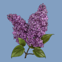 Purple Lilac Flower Illustrations Urban Hoodie | Teevron