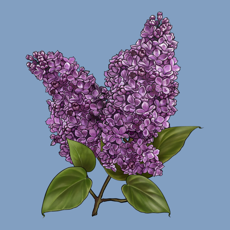 Purple Lilac Flower Illustrations Urban Hoodie by LillyAllenDesigns | Teevron