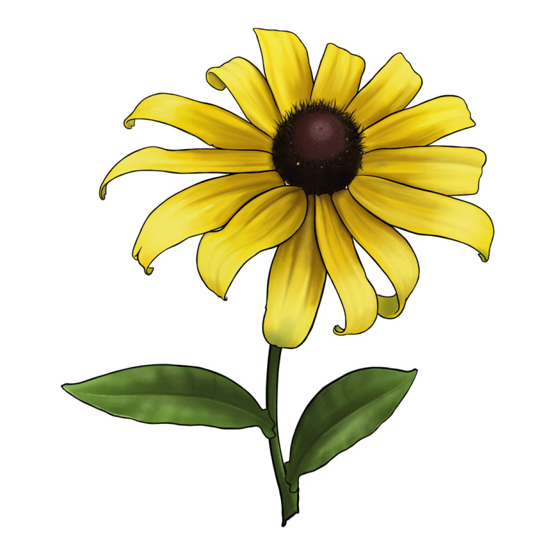 Black Eyed Susan Flower Illustrations Premium Tee by LillyAllenDesigns | Teevron